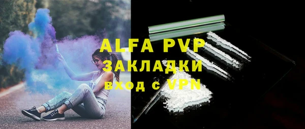дживик Абаза