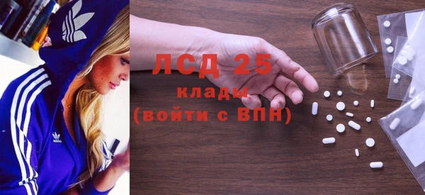 ПСИЛОЦИБИНОВЫЕ ГРИБЫ Осташков