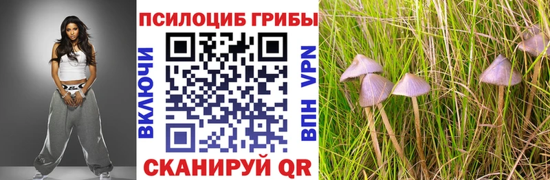 сколько стоит Тольятти мориарти клад Псилоцибиновые грибы Magic Shrooms