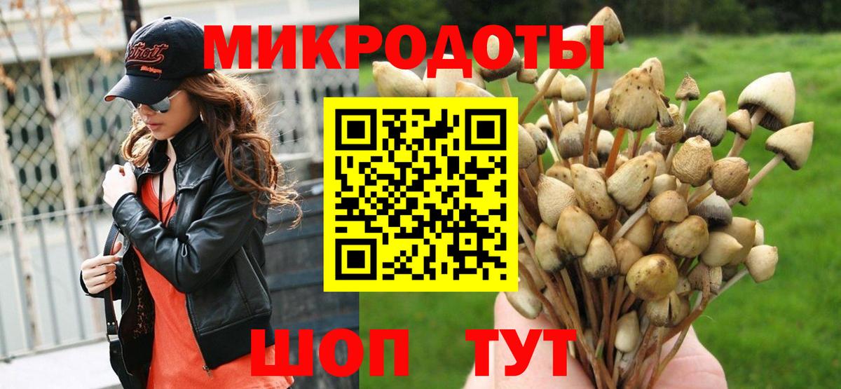 Галлюциногенные грибы Psilocybe  Вход с VPN  Псилоцибиновые грибы прущие грибы  Тольятти 